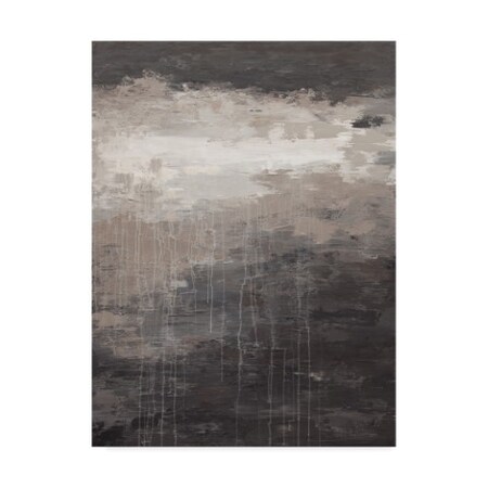 Hilary Winfield 'Lithosphere Clouds' Canvas Art,35x47